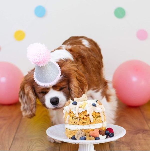 Grain Free Birthday Cake Mix for dogs